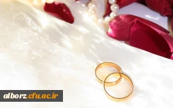 راه اندازی سایت همتا گزینی