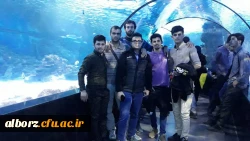 جاذبه های گردشگری و تاریخی استان و شهر اصفهان
 5