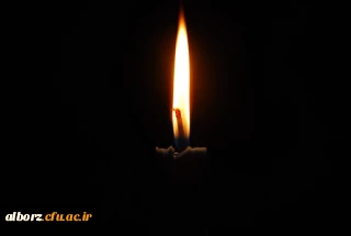 پیام تسلیت مدیریت امور پردیس های استان در پی شهادت دکتر محسن فخری زاده