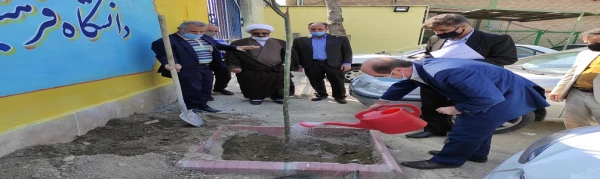 کاشت نهال به مناسبت هفته منابع طبیعی
 3