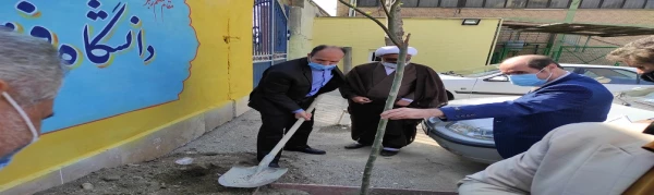 کاشت نهال به مناسبت هفته منابع طبیعی
 6