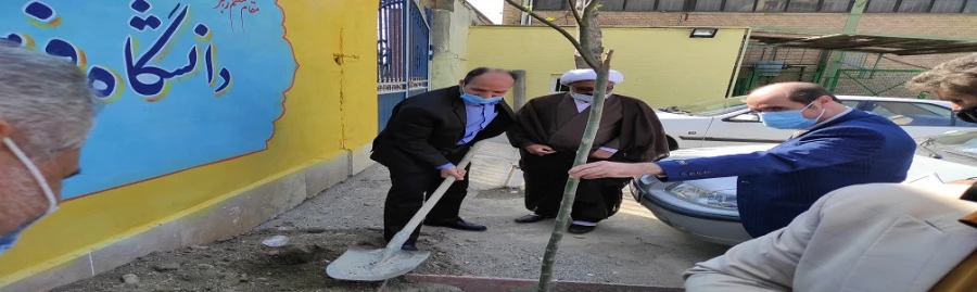 کاشت نهال به مناسبت هفته منابع طبیعی
 6